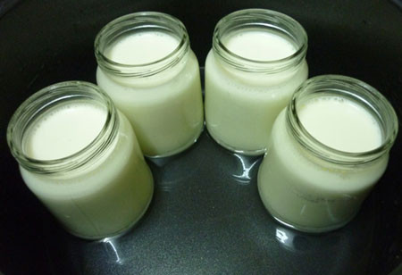 1. Sữa chua chứa vi khuẩn có lợi hoạt động để chống lại các loại nấm gây ra bệnh này.