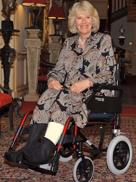 Nữ công tước xứ Cornwall trong buổi đón tiếp vào 21/4/2010 tại Clarence House ở trung tâm Lon don. Đây là lần xuất hiện chính thức đầu tiên của cô kể từ khi bị ngã gãy chân trái ở Scotland gần hai tuần trước đó.