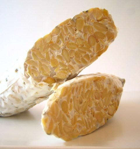 Đậu tương lên men. Chế phẩm sinh học trong thực phẩm lên men có thể giúp tiêu hóa, đóng một vai trò trong việc chống lại bệnh béo phì và những ảnh hưởng của stress mãn tính.