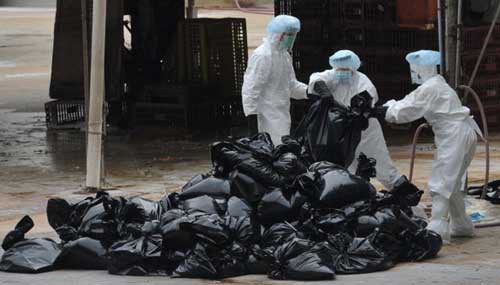 Các cơ quan chức năng y tế liên bang cho biết, sự căng thẳng chủ yếu của cúm đến nay vẫn là cúm lợn H1N1, kích hoạt các đại dịch cúm năm 2009.