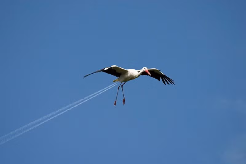 Vừa bay vừa xì hơi???
