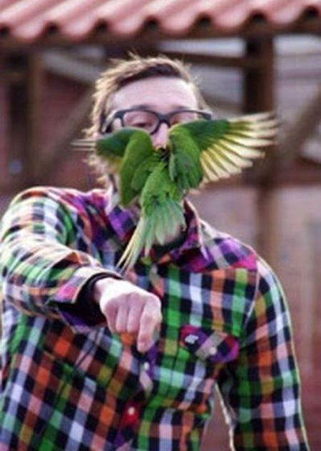 Ối...mồi ở đây cơ mà...