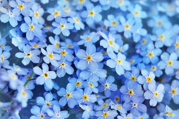 Trong khi đó, phụ nữ thường kết hôn với người đàn ông mình yêu và bắt đầu cuộc sống hạnh phúc. Từ ngày này trở đi, người sinh ngày 13 Âm lịch sẽ được quý nhân để ý nhiều hơn, có nhiều cơ hội kiếm tiền và có khả năng gặp thêm những người tốt. *Thông tin trong bài chỉ mang tính chiêm nghiệm, tham khảo. (Theo Sohu). 