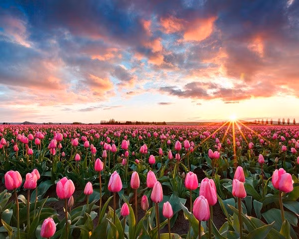 Hơn nữa, khi quyết định một việc gì đó, người sinh ngày 8 và 27 Âm lịch sẽ nỗ lực làm việc đúng theo kế hoạch, không nản lòng, nhụt chí ngay cả khi gặp khó khăn.