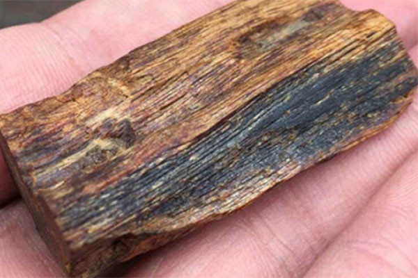 Loai go co mui huong huyen bi, cuc ky quy hiem, gia hang ty dong/1kg