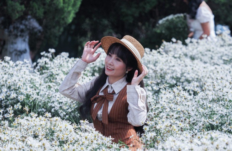 Loài hoa này được trồng nhiều ở vườn hoa Nhật Tân, bãi đá Sông Hồng, làng hoa Tây Tựu, cánh đồng hoa Quảng An...