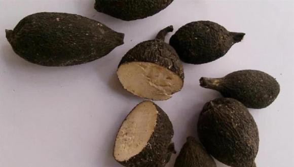 Sở dĩ Wulingshen đắt tiền chủ yếu là do nó có giá trị dinh dưỡng cao và giá trị chữa bệnh cũng rất khan hiếm nên được nhiều người sưu tầm. Nhân sâm Wuling chứa 17 loại axit amin cấu thành nên protein và 16 trong số 18 nguyên tố khoáng chất cần thiết cho cơ thể con người có trong nhân sâm Wuling. Hàm lượng các nguyên tố vi lượng như canxi, sắt, kẽm và mangan cũng rất cao.