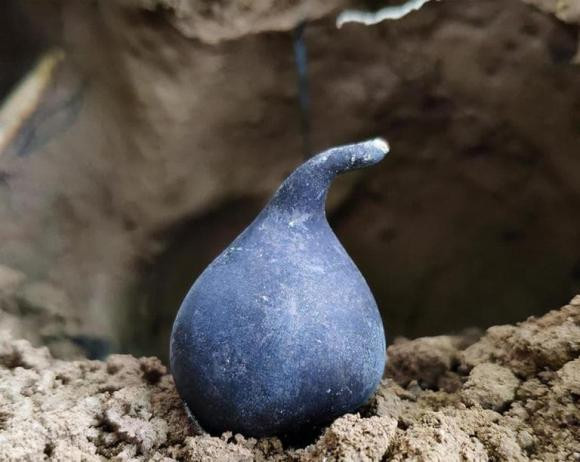 Nấm Wuling hẳn đã quen thuộc với những người thích ăn nấm. Nó không phải là nhân sâm mà là một loại nấm có tên Charcotella nigricans hay còn gọi là Poria cocos. Khi có sấm sét sẽ phát ra âm thanh “rên rỉ” dưới lòng đất, còn được gọi là “Sấm Zhenzi”.