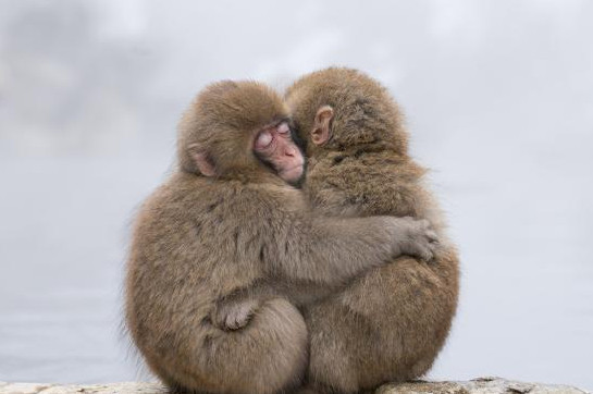 Mùa hè sẽ là giai đoạn vàng để bạn tập trung vào việc củng cố tài chính. Hãy chú trọng đến việc đầu tư khôn ngoan, bởi vận may tài chính sẽ mỉm cười với những nỗ lực và sự cố gắng của bạn. Khi tiền tài chảy vào, đừng quên sử dụng nó một cách thông minh, từ đó đảm bảo sự tăng trưởng bền vững.