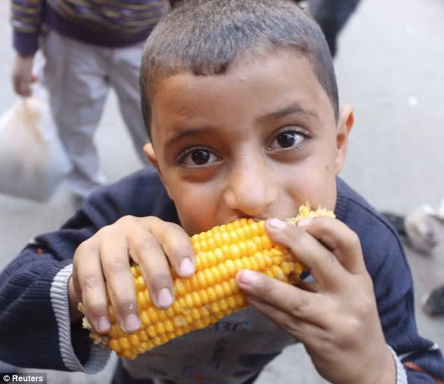 Theo báo cáo dài 61 trang, trong buổi loạn lạc, ngày càng nhiều trẻ em Syria bị thất học, phải lao động cật lực để kiếm ăn giúp gia đình. Theo ước tính, 75% trong số 1,1 trẻ em tị nạn Syria dưới 12 tuổi.