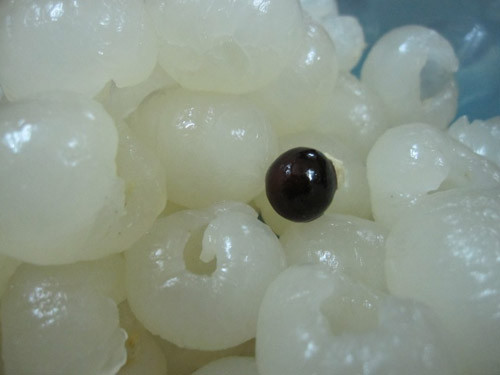 Hạt nhãn giúp bạn có mái tóc đẹp, phục hồi hư tổn. Trong hạt nhãn chứa chất saponin có tác dụng tốt trong việc phục hồi mái tóc khô, hư tổn. Bạn có thể dùng hạt nhãn để chế nước gội đầu.