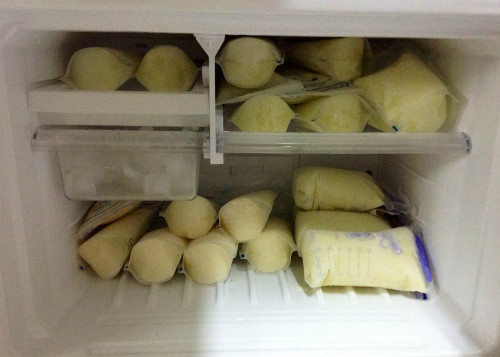 Bỏ sữa trữ đông ra ngoài tủ lạnh.