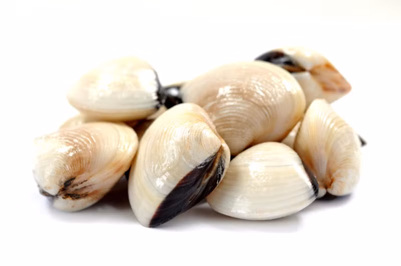 Động vật thân mềm. Trong mỗi 100g thịt hàu, trai, sò gồm có 10,9g protein + 1,5g chất béo + 375mg kali + 270mg natri + 35mg can-xi + vitamin A, B1, B2, acid taurine và các vi nguyên tố khác. Những loại dưỡng chất thiết yếu này của các loại động vật thân mền gần như hơn hẳn những loại thịt bình thường. Hơn nữa, trong thịt hàu còn có các acid amin và nhiều chất hoạt tính có thể giúp chống lại mệt mỏi, tăng khả năng miễn dịch của cơ thể và tăng cường quá trình trao đổi chất.