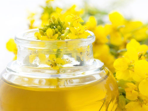 Dầu hạt cải. Nghiên cứu gần đây cho thấy dầu ăn chiết xuất từ hạt cải có thể kiểm soát đường huyết ở bệnh nhân tiểu đường loại 2, đồng thời nó còn giúp bạn đốt cháy calo, giảm cân hiệu quả.