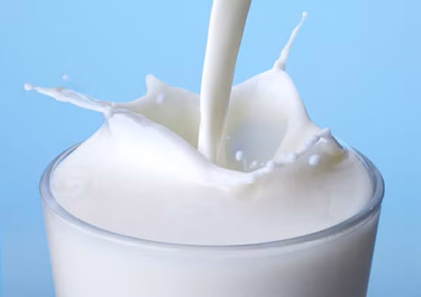 Sữa tươi. Sữa tươi được biết đến như một loại thần dược được sử dụng để làm trắng da, đồng thời là nguồn nguyên liệu dồi dào dưỡng chất này còn rất hiệu quả trong việc trị vết thâm. Một trong những cách chữa thâm do bỏng bô hiệu quả là dùng sữa tươi quét lên bề mặt da bị thâm rồi tiến hành massage nhẹ nhàng, lactic trong sữa không chỉ giúp làm mờ các vết thâm mà còn giúp da tươi sáng và mịn màng hơn.