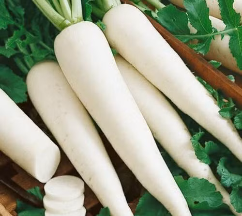 Cây củ cải. Trộn lẫn 1 thìa nước củ cải tươi với 1 thìa mật ong và một chút muối. Hãy cho trẻ uống ngày 3 lần loại hỗn hợp này.