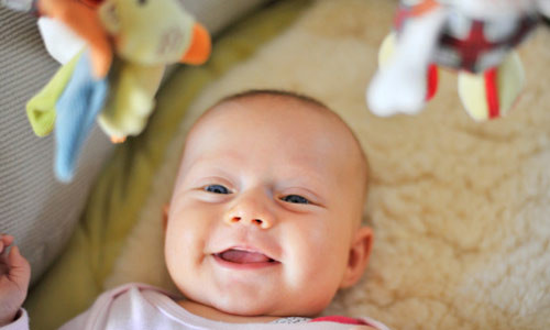 Trẻ dưới 1 tuổi không được uống sữa bò tươi. Chỉ nên cho trẻ dùng sữa tươi khi trẻ đã hơn một tuổi. Lý do vì sữa tươi có hàm lượng đạm, can-xi và phốt-pho cao, nếu cho trẻ từ một tuổi trở xuống uống sẽ dễ có nguy cơ bị quá tải thận. Về lâu dài, làm trẻ có nguy cơ bị cao huyết áp, béo phì ở tuổi trưởng thành. Ngoài ra, lượng đạm cao còn gây đầy bụng, khó tiêu, làm trẻ chán ăn.