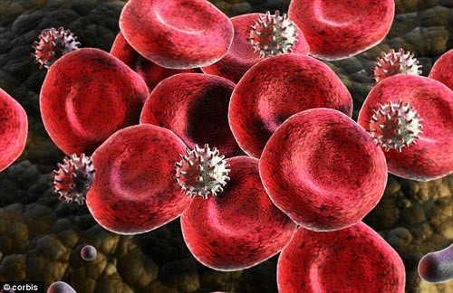 HIV phá huỷ bạch cầu ngày càng nhiều, dẫn đến hệ miễn dịch của cơ thể bị suy giảm dần, cuối cùng là bị “vô hiệu hóa” và điều đó có nghĩa là cơ thể con người không còn được bảo vệ nữa. Lúc đó, mọi mầm bệnh khác như vi trùng, siêu vi trùng nhân cơ hội gây bệnh (nhiễm trùng cơ hội) và cả tế bào ung thư “mặc sức hoành hành” gây nên nhiều bệnh nguy hiểm... và dẫn đến tử vong.