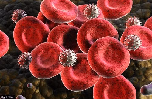 HIV phá huỷ bạch cầu ngày càng nhiều, dẫn đến hệ miễn dịch của cơ thể bị suy giảm dần, cuối cùng là bị “vô hiệu hóa” và điều đó có nghĩa là cơ thể con người không còn được bảo vệ nữa. Lúc đó, mọi mầm bệnh khác như vi trùng, siêu vi trùng nhân cơ hội gây bệnh (nhiễm trùng cơ hội) và cả tế bào ung thư “mặc sức hoành hành” gây nên nhiều bệnh nguy hiểm... và dẫn đến tử vong.