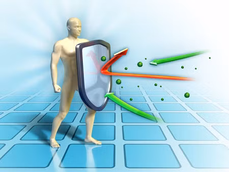 Cơ chế tấn công cơ thể của HIV. Hệ miễn dịch của con người, với thành phần chủ lực là bạch cầu, là lực lượng bảo vệ cơ thể chống lại sự tấn công của các loại tác nhân gây bệnh xâm nhập từ bên ngoài hoặc mầm bệnh ung thư phát sinh từ một số tế bào trong cơ thể.