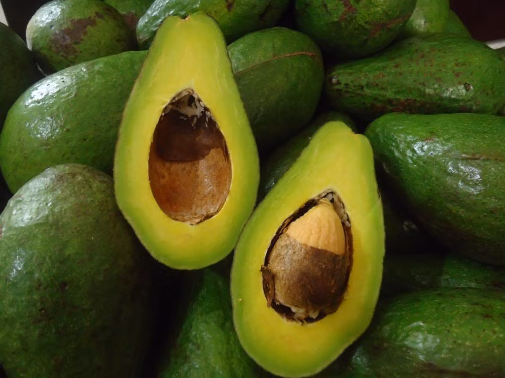 Quả bơ. Các nhà khoa học tìm thấy chất béo có tên là axit oleic trong quả bơ chính là “vũ khí” giúp giảm cân một cách tự nhiên. Chất béo này sẽ kích thích phản ứng của cơ thể ngăn chặn tạm thời cơn đói cồn cào đang “thiêu đốt” tâm trí bạn.