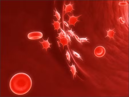 Ảnh hưởng của quá trình đông máu. Bạn có biết không? Quá trình đông máu trong cơ thể của chúng ta thường được đặc trưng bởi một dịch xả hơi nâu hoặc có màu hơi đen. Vì vậy , một khi cục máu đông đã được thải ra ngoài thì màu sắc nguyệt san sẽ trở lại bình thường trong một vài ngày.