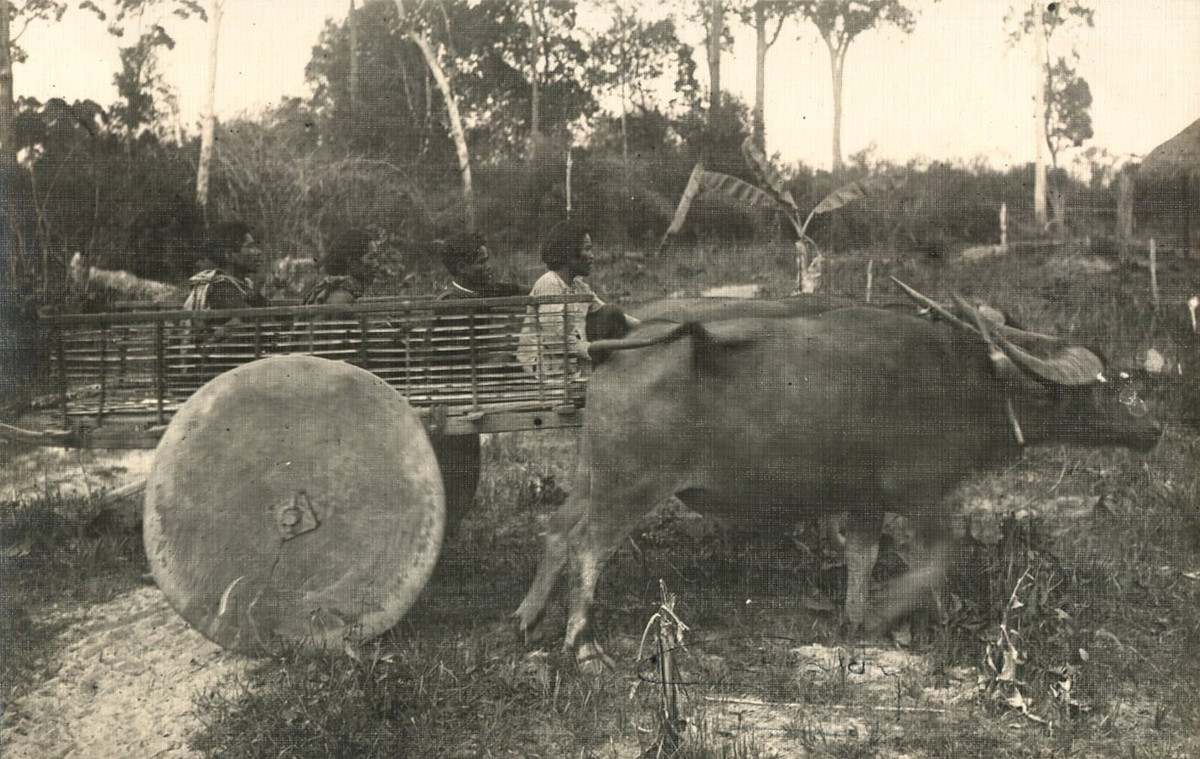 Di chuyển bằng xe do hai trâu kéo ở Nam Bộ, 1930.