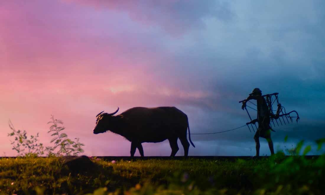 Nguồn gốc Đầu Trâu, Mặt Ngựa được cho là một con trâu và một con ngựa bình thường trên nhân gian. Sau nhiều năm tận tụy phục vụ chủ nhân, trâu và ngựa cùng chết đi và xuống âm phủ.