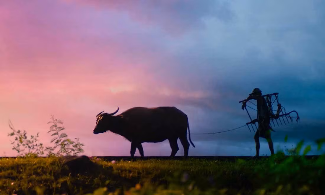 Nguồn gốc Đầu Trâu, Mặt Ngựa được cho là một con trâu và một con ngựa bình thường trên nhân gian. Sau nhiều năm tận tụy phục vụ chủ nhân, trâu và ngựa cùng chết đi và xuống âm phủ.