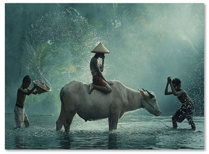 Theo quan niệm dân gian, hình ảnh Đầu Trâu và Mặt Ngựa còn mang ý nghĩa sâu xa, tượng trưng cho tuổi già và bệnh tật. Trong đó, bệnh tật là con trâu, tuổi già là con ngựa.