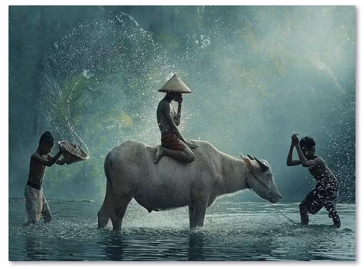 Theo quan niệm dân gian, hình ảnh Đầu Trâu và Mặt Ngựa còn mang ý nghĩa sâu xa, tượng trưng cho tuổi già và bệnh tật. Trong đó, bệnh tật là con trâu, tuổi già là con ngựa.