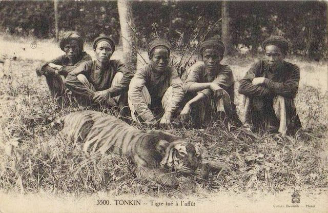 Vào thời Việt Nam còn nhiều rừng rậm và các loài động vật hoang dã sinh sôi nảy nở đông đúc, nghề thợ săn đã trở thành sinh kế của nhiều người. Ngày nay việc săn bắn các loài động vật hoang dã là hành vi vi phạm pháp luật.