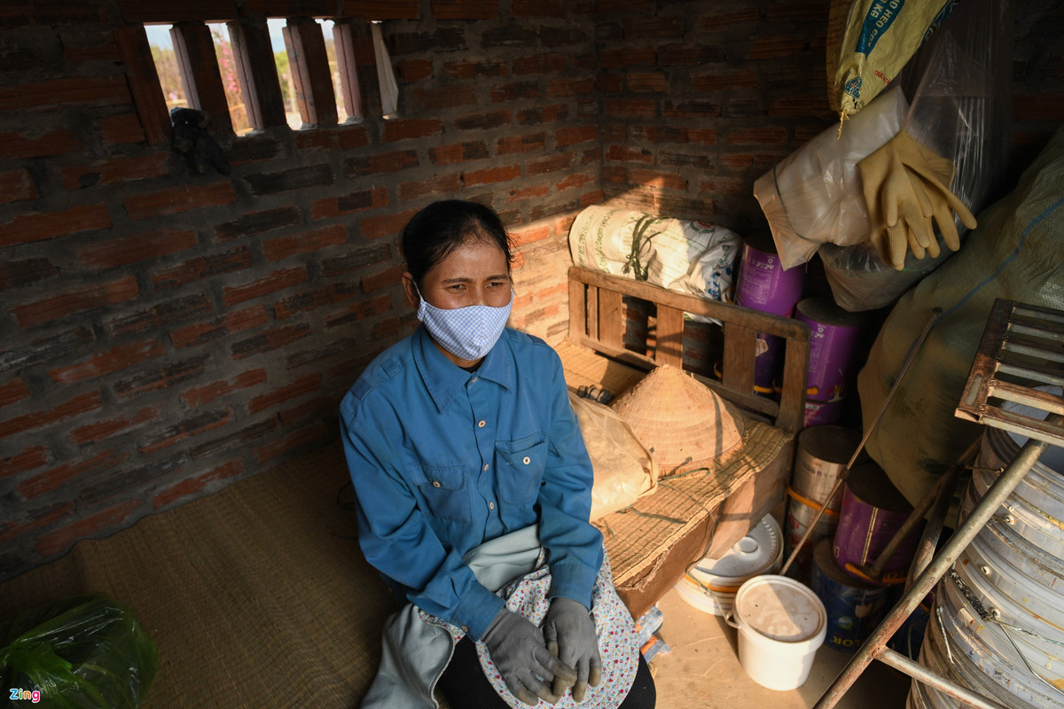 16h, bà Thuần vẫn ở lại làm việc. Ngồi nghỉ trong chiếc chòi nhỏ dựng tạm trên nền đất, bà nhìn ra phía ruộng đào của mình còn đang kỳ nở rộ. “Đúng là cảnh hoa cười người khóc, biết làm sao bây giờ”, bà than thở.