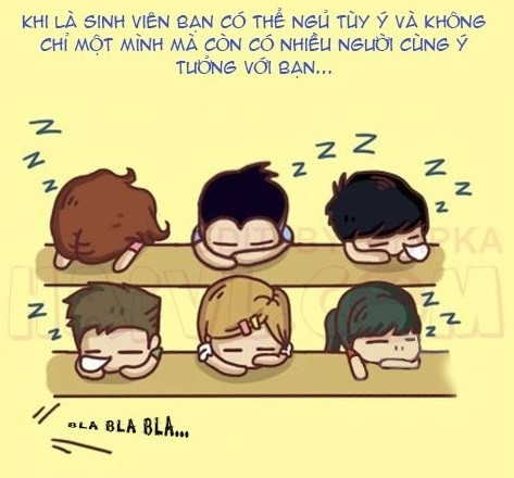 Những sự khác biệt từ nhỏ đến lớn.