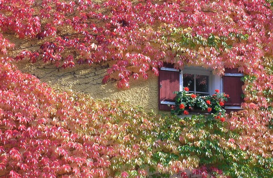 Nguoi sinh thang Am lich nay, phuc khi sau day, nam nay kiem lon