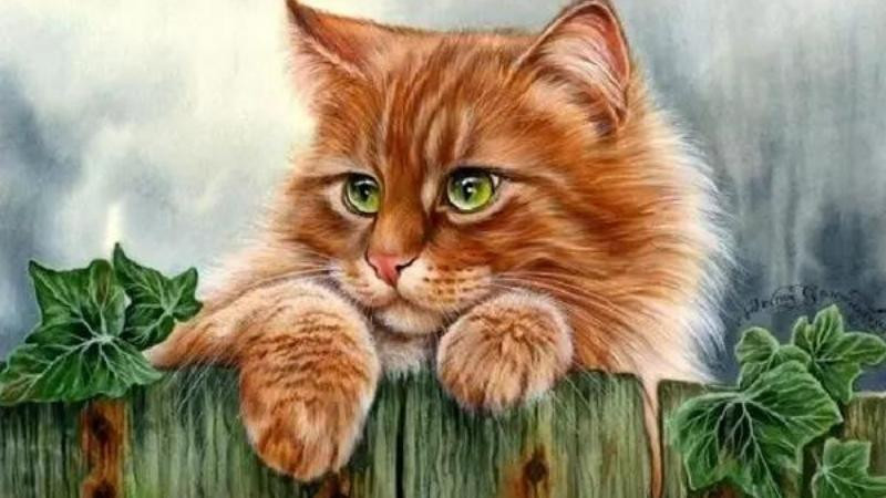 Chuyện tình cảm có dấu hiệu khởi sắc vào cuối tuần, nhưng vẫn chưa đủ để hàn gắn những tổn thương mà bạn đã phải chịu đựng trong thời gian qua. Đây là lúc bạn cần cân nhắc lại mối quan hệ hiện tại và xem xét xem người ấy có thực sự xứng đáng với tình cảm của mình hay không. Hãy dành thời gian để suy nghĩ và đưa ra quyết định đúng đắn cho bản thân. * Thông tin trong bài mang tính tham khảo.