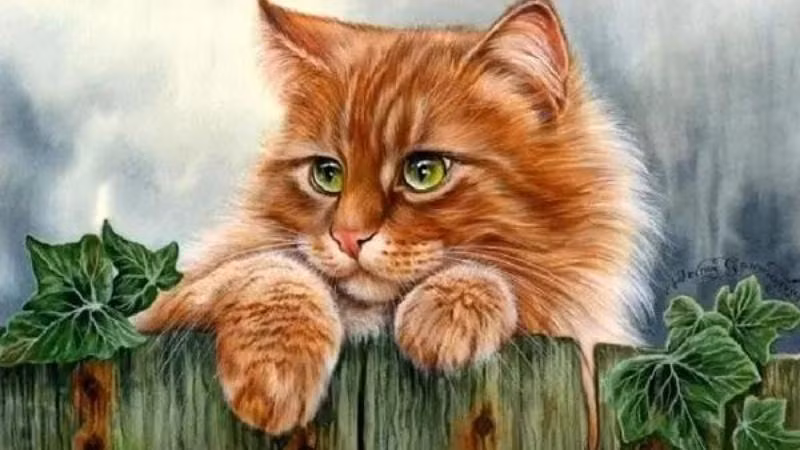 Chuyện tình cảm có dấu hiệu khởi sắc vào cuối tuần, nhưng vẫn chưa đủ để hàn gắn những tổn thương mà bạn đã phải chịu đựng trong thời gian qua. Đây là lúc bạn cần cân nhắc lại mối quan hệ hiện tại và xem xét xem người ấy có thực sự xứng đáng với tình cảm của mình hay không. Hãy dành thời gian để suy nghĩ và đưa ra quyết định đúng đắn cho bản thân. * Thông tin trong bài mang tính tham khảo.