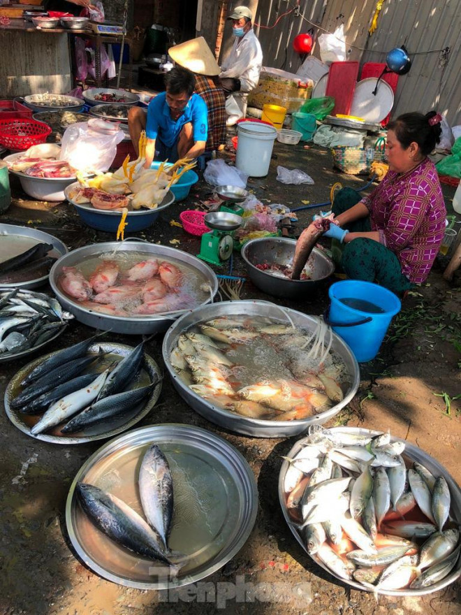 Người bán cá ngồi san sát nhau và đều không đeo khẩu trang.