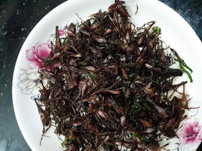 Theo anh Huýnh, tôm rừng kiếm ăn ban đêm, ban ngày về tổ, người dân đi kiếm được tổ nào thì bắt tổ đó, mỗi tổ có 1-3 kg.