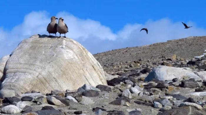 Thung lũng khô McMurdo, châu Nam Cực. Khi nghe đến châu Nam Cực, người ta hiếm khi nghĩ đến bất cứ thứ gì khác ngoài băng và sông băng. Tuy nhiên, thung lũng khô McMurdo của châu Nam Cực lại là một trong những nơi khô cằn nhất trên trái đất. Thung lũng này là vùng không có băng lớn nhất trên lục địa. Sự hiện diện của những ngọn núi cao cũng ngăn sự hình thành băng ở thung lũng. Các nhà khoa học đã so sánh hệ sinh thái của thung lũng với hệ sinh thái của Hỏa tinh do khí hậu khô hạn và vi khuẩn quang hợp có thể được tìm thấy sống ở đó.