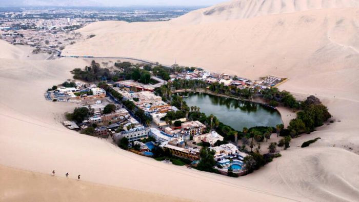 Ica, Peru. Thành phố Ica nằm ở miền nam Peru. Tiếp giáp với sa mạc Atacama, thành phố này chịu khí hậu khô hạn và lượng mưa khoảng 2,29 mm mỗi năm. Điều kỳ lạ vào năm 2007, các nhà khoa học đã tìm thấy bằng chứng hóa thạch của một loài chim cánh cụt từng sinh sống trong khu vực. Khí hậu khô cằn cũng không làm mất đi sức hấp dẫn của thành phố này với khách du lịch. Trong thành phố có một bảo tàng tuyệt vời là nơi trưng bày các hiện vật thời tiền sử hay xác ướp từ thời tiền Colombo. Ốc đảo Huacachina nằm giữa các cồn cát cũng là một điểm rất thu hút khách du lịch.