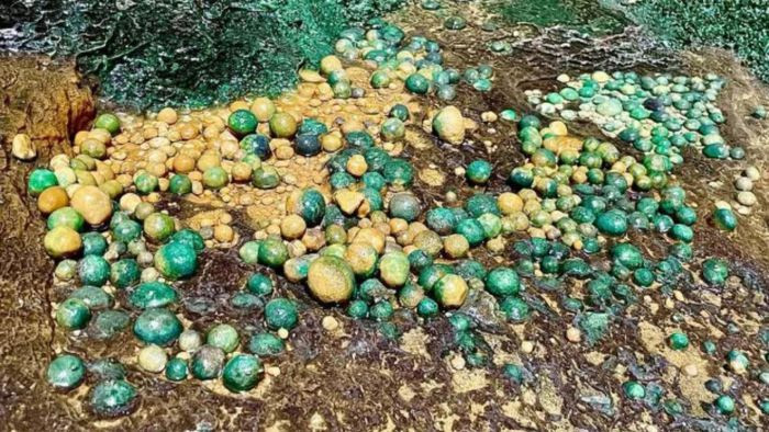 Kindi, một thành viên tham gia chuyến thám hiểm, cho biết họ có động lực là đam mê khám phá, và cảm nhận điều này có thể hé lộ kỳ quan mới cùng một phần lịch sử Yemen. Họ đã thu thập mẫu nước, đá, đất và động vật chết nhưng chưa phân tích. Một báo cáo hoàn chỉnh sẽ sớm được công bố. Ảnh: Mirror.