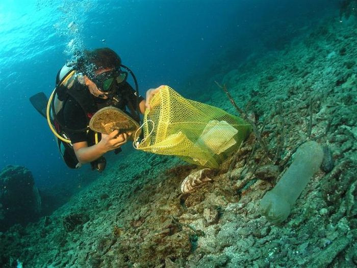 Ở bất kỳ tầng nào trong đại dương, đều có sự xuất hiện của rác thải nhựa.