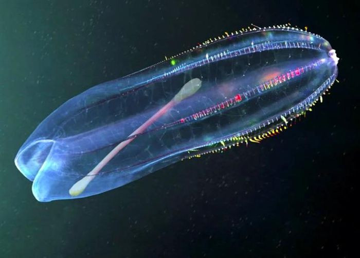 Nhìn những hình ảnh này, bạn có thấy cần phải thay đổi thói quen dùng đồ nhựa?