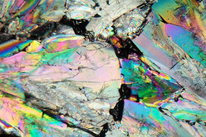 Con người đã sử dụng đường trong hàng nghìn năm nay nhưng ít ai biết rằng, những hạt đường bình thường dưới kính hiển vi trông lại siêu thực và đầy màu sắc như vậy. Các nhà thiên văn học thậm chí đã công nhận đường là một phần của bụi vũ trụ.