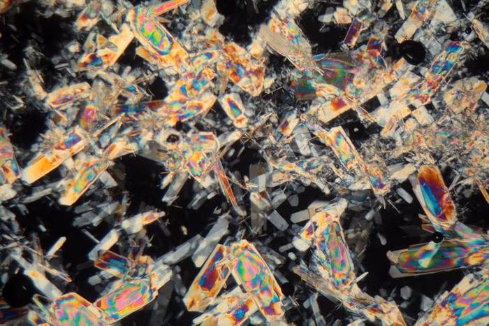 Với sự hỗ trợ của kính hiển vi, chúng ta có thể quan sát được một giọt mật ong nhỏ bé trông như thế nào. Trung bình, mỗi chú ong có thể sản xuất lên tới 40kg mật/năm.