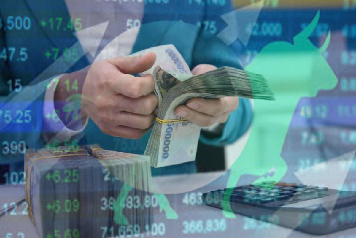 Hàng triệu tỷ trong két sắt nhà dân Việt Nam ảnh 1