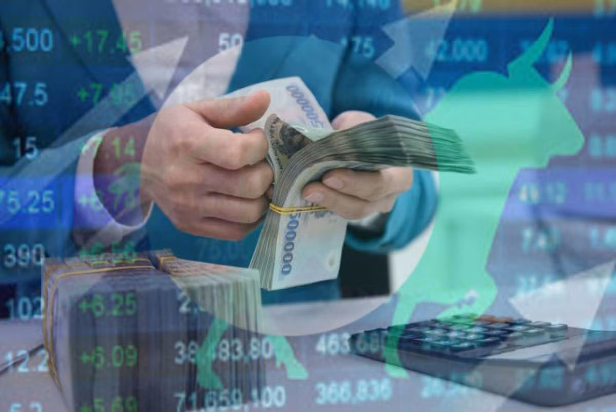 Hàng triệu tỷ trong két sắt nhà dân Việt Nam ảnh 1