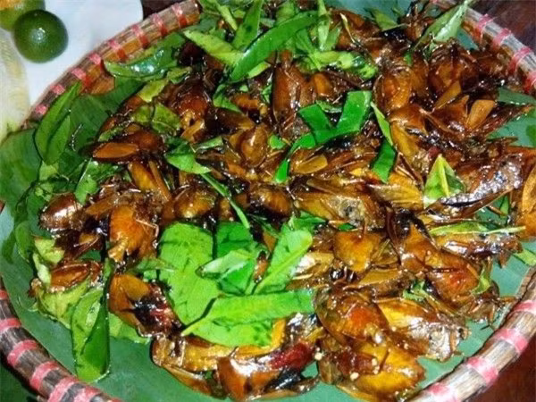 5 món ăn “kinh dị” nhưng mang đậm dấu ấn ẩm thực Tây Bắc ảnh 4