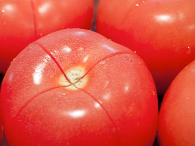 Bắc bếp đợi đến khi nước sôi, chị em lần lượt đưa cà chua vào khoảng 30 – 60 giây đến khi vết rạch nhỏ tách ra.